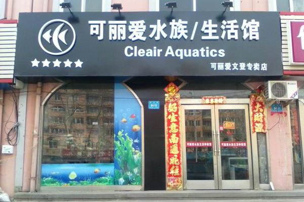 可丽爱水族加盟费